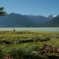 Foto des Tages Foto des Tages